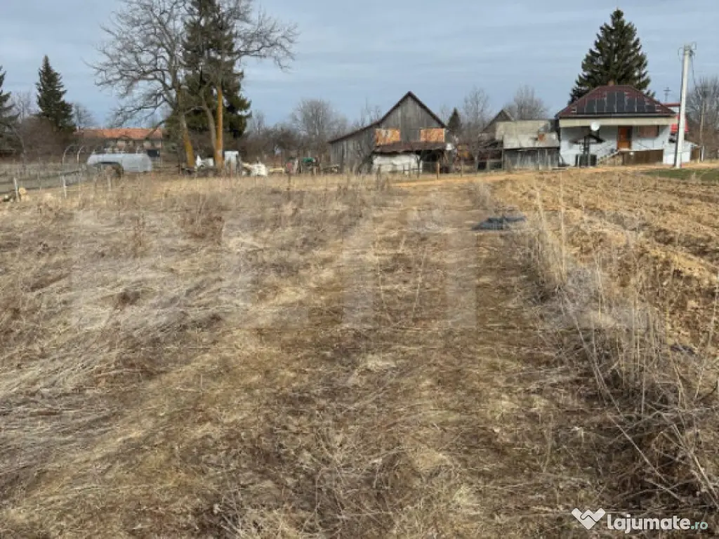 Teren extravilan de vânzare – Dângău Mare (după Gilău 