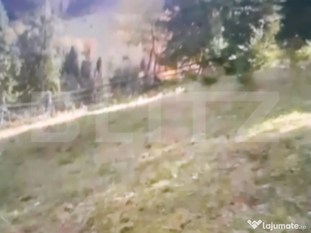 Teren în comuna Panaci, 15000 mp, oportuintate unica de inv