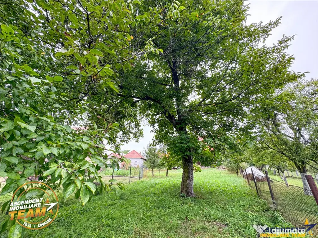 FILM! 2 case,domeniu de 1.660mp, cu atelier,anexe,Lemnia,Co 