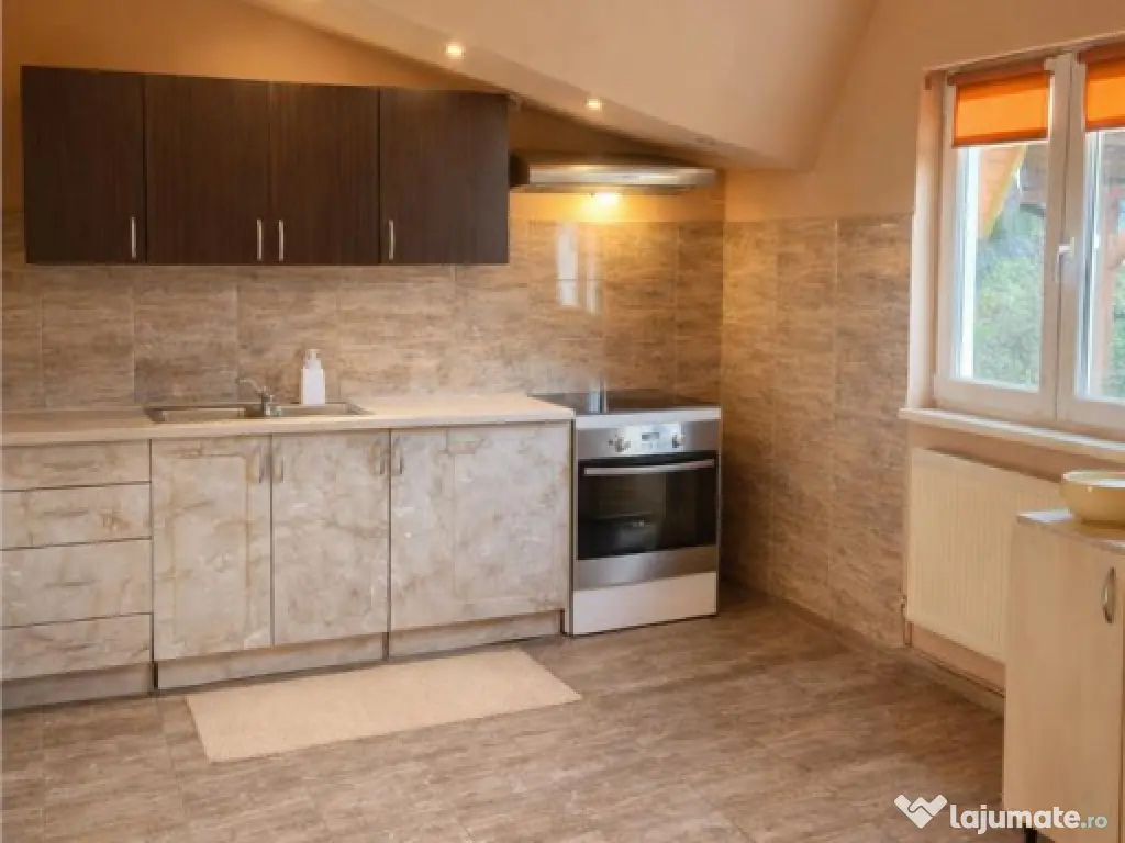 Casa potential:locuire multifamiliala,activitati comerciale, 