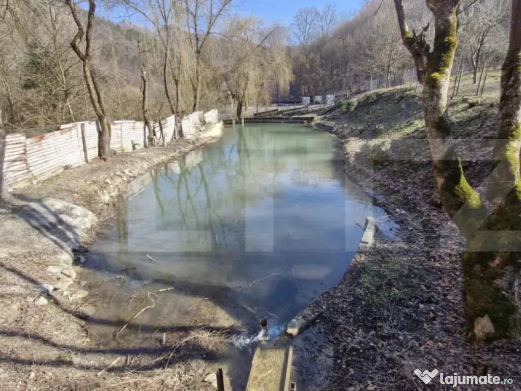 Cabana 5 camere, 140 mp utili, 3000 mp teren! 