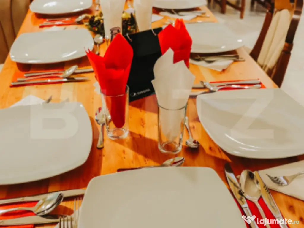 HOTEL 3★ DE VÂNZARE – VÂRTOP ARIEȘENI, MUNȚII APUSEN 