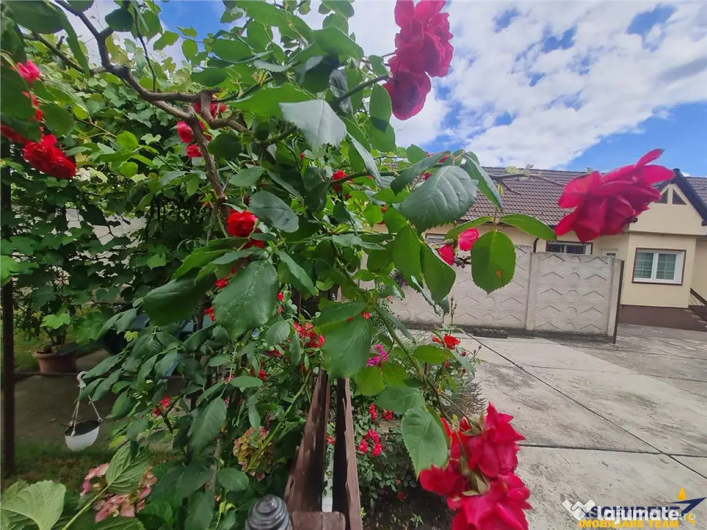 Poveste saseasca la umbra vitei de vie,cu crama,gradina flor 