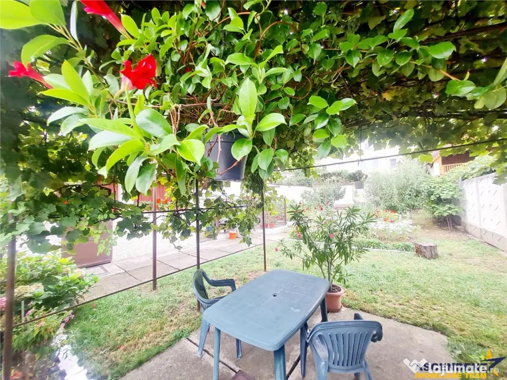 Poveste saseasca la umbra vitei de vie,cu crama,gradina flor 