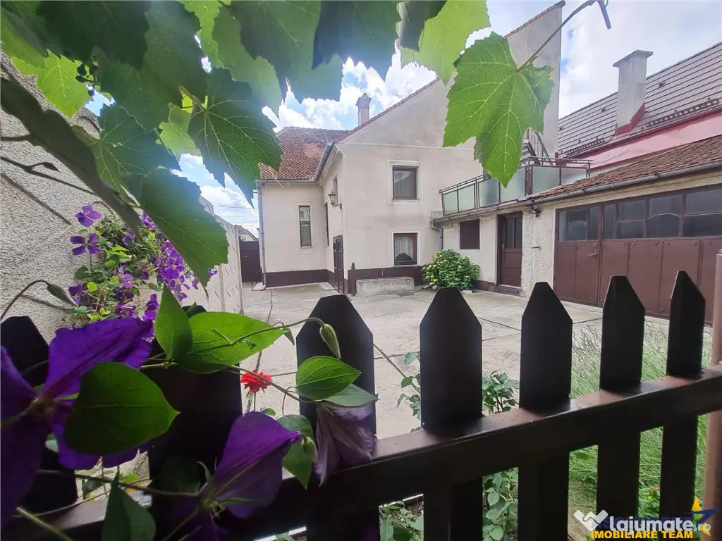 Poveste saseasca la umbra vitei de vie,cu crama,gradina flor 