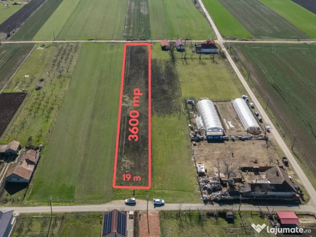 Teren 3.600 mp în Curtici, 2 fronturi stradale – La do... 