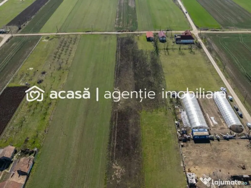 Teren 3.600 mp în Curtici, 2 fronturi stradale – La do...