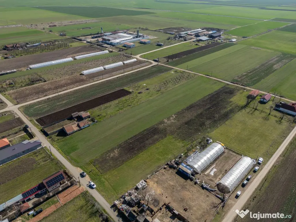 Teren 3.600 mp în Curtici, 2 fronturi stradale – La do... 