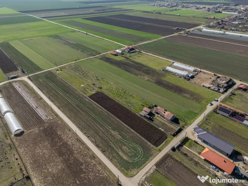 Teren 3.600 mp în Curtici, 2 fronturi stradale – La do... 