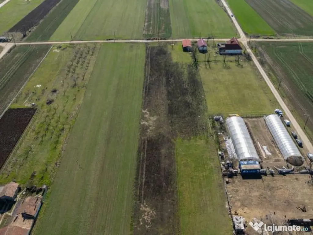 Teren 3.600 mp în Curtici, 2 fronturi stradale – La do... 