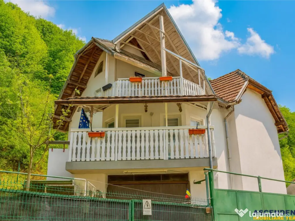 3D! Casa autentica,5.025 mp teren,in spectacolul montan al C 