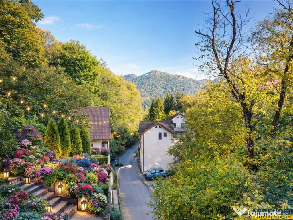 FILM3D! Resedinta notabila, in pretiosul areal:Drumul Poieni 