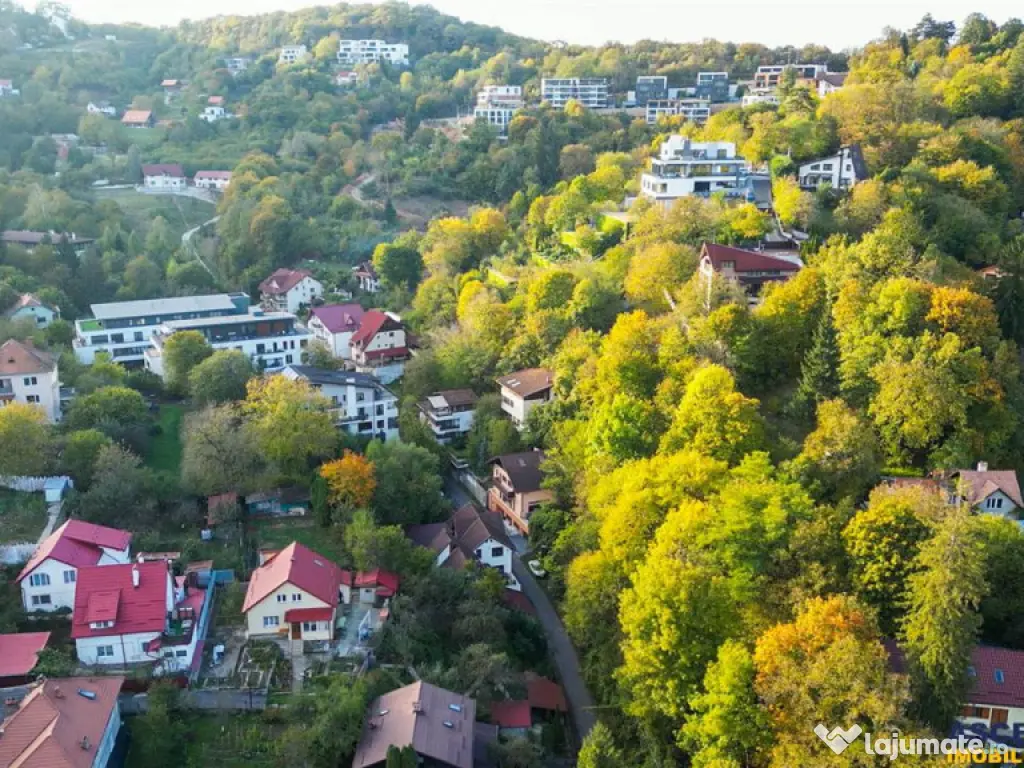 FILM3D! Resedinta notabila, in pretiosul areal:Drumul Poieni 