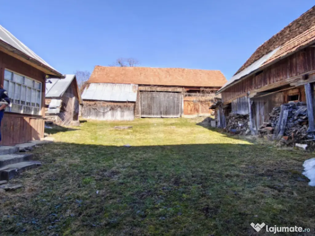 Două case bătrânești pe un teren generos de 4.605 mp, la 