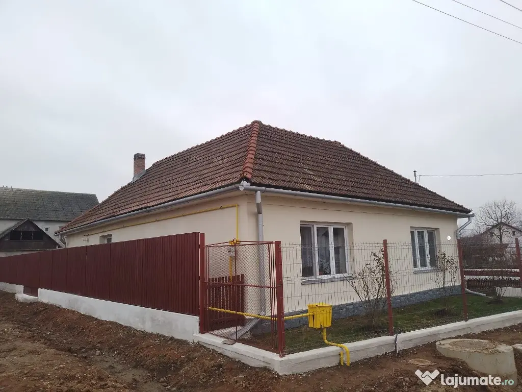 Seini, casa cocheta , cu 2 intrari 