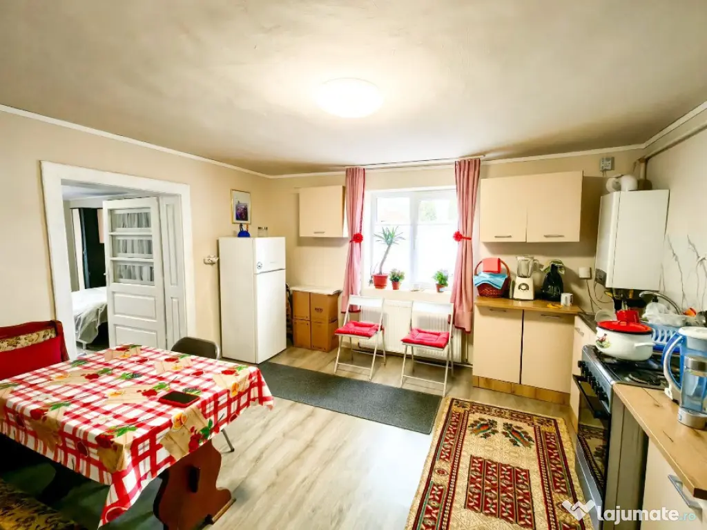 Seini, casa cocheta , cu 2 intrari 