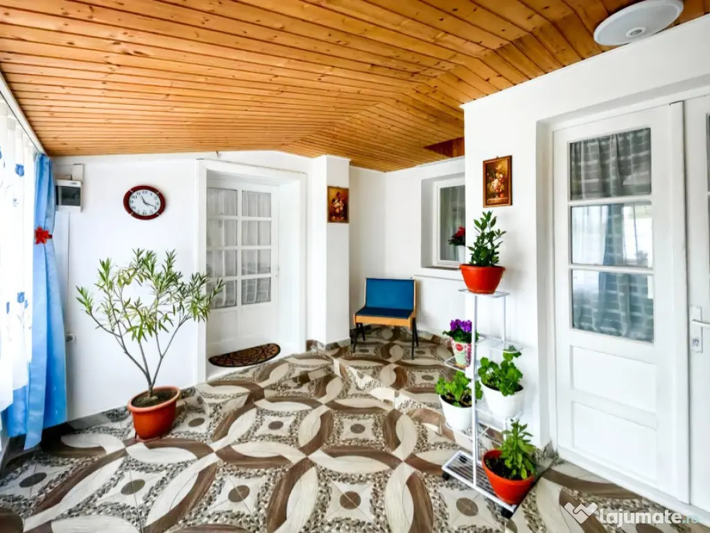 Seini, casa cocheta , cu 2 intrari 