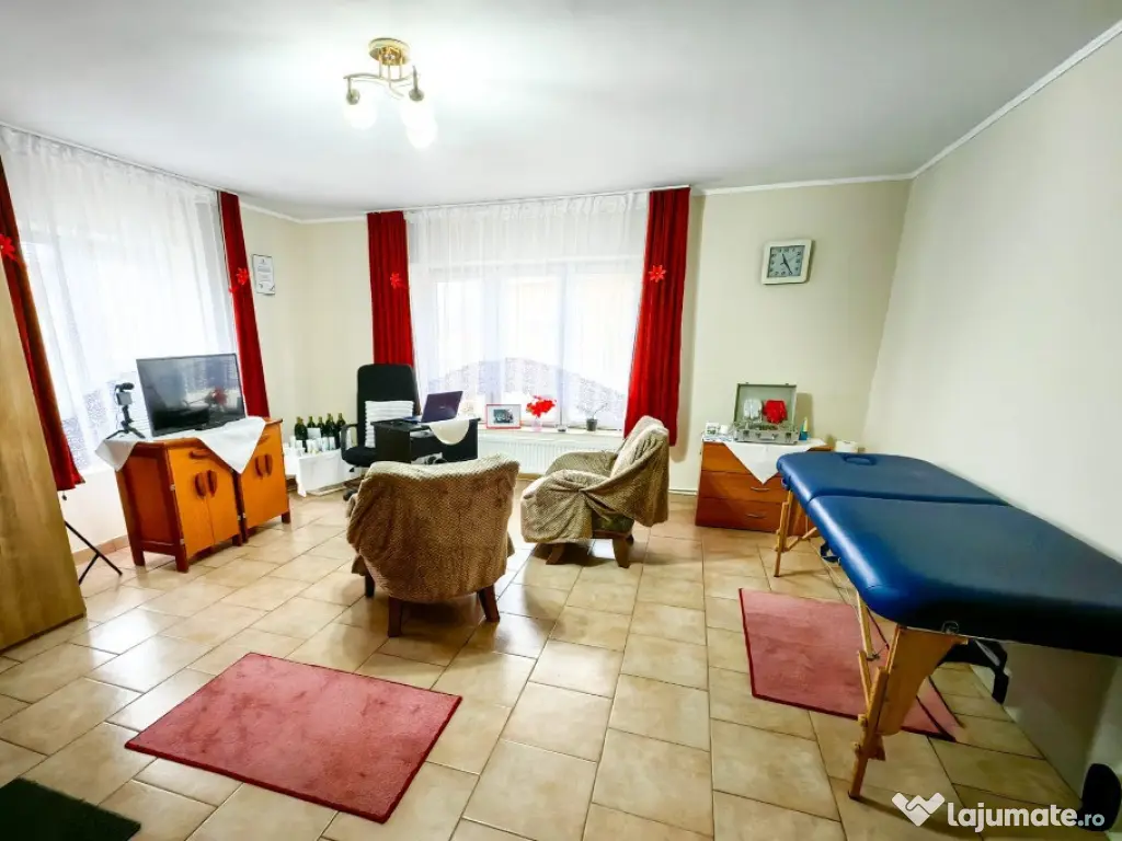 Seini, casa cocheta , cu 2 intrari 