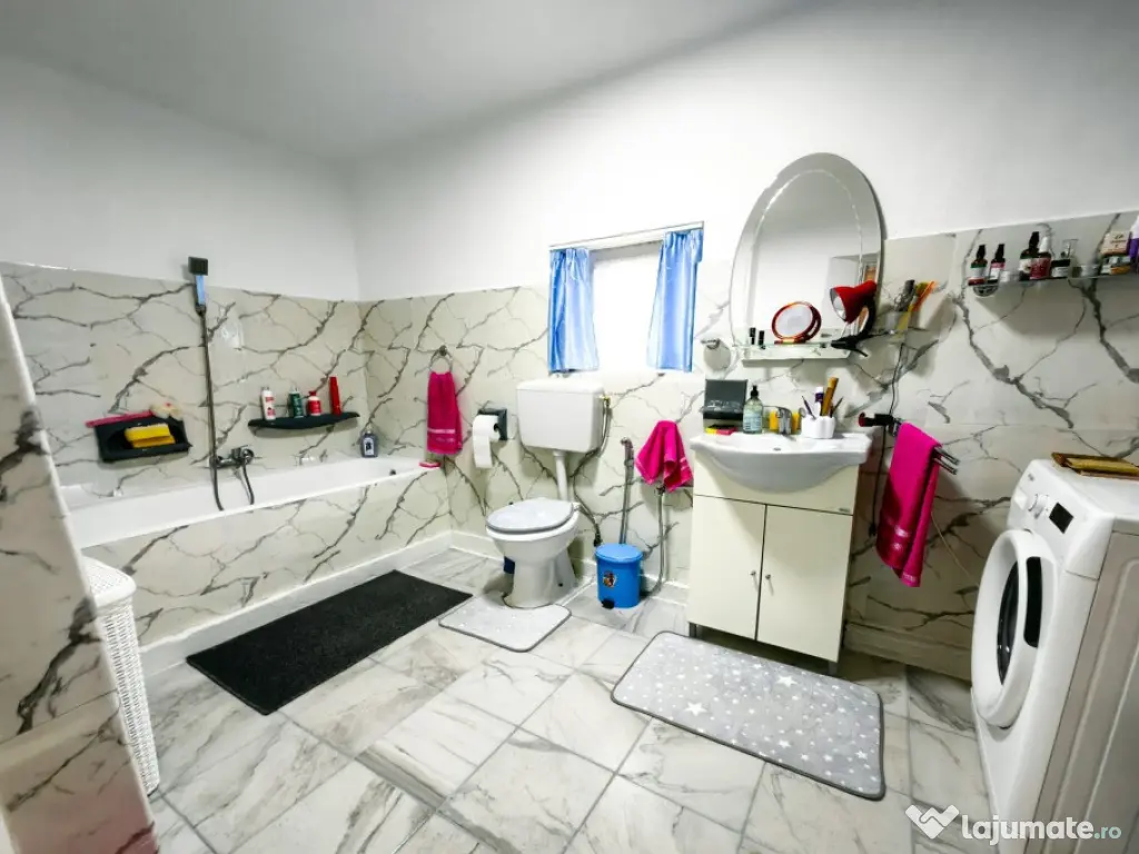 Seini, casa cocheta , cu 2 intrari 