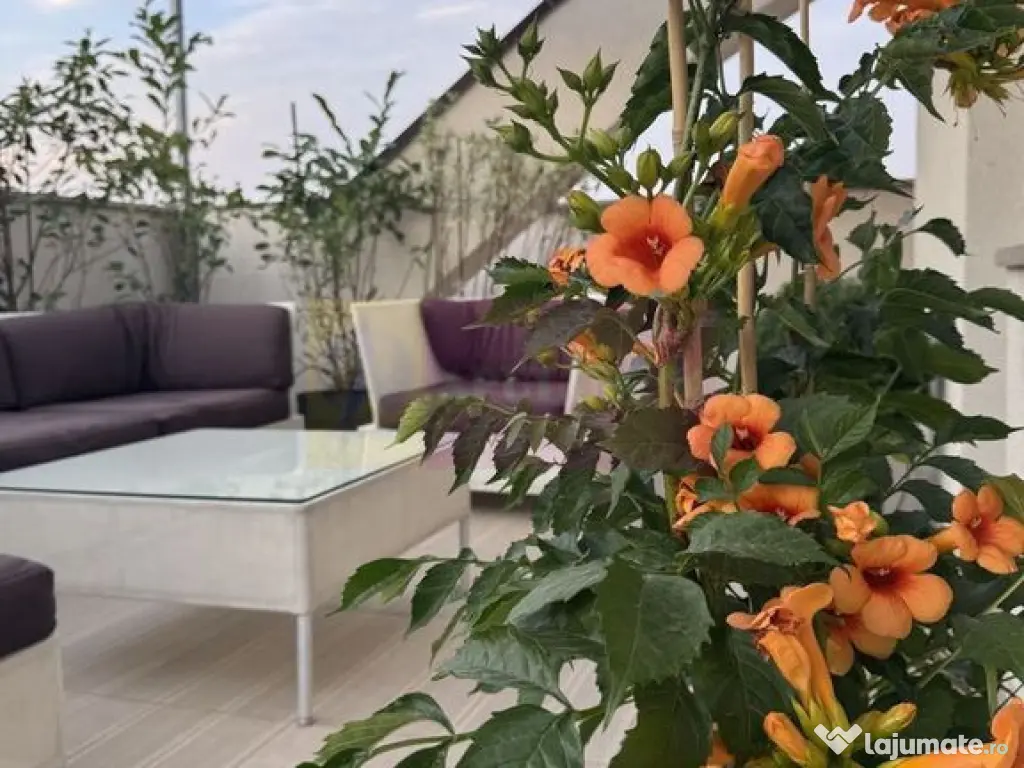 Apartament 3 camere cu terasă 133 mp, Timpuri Noi 