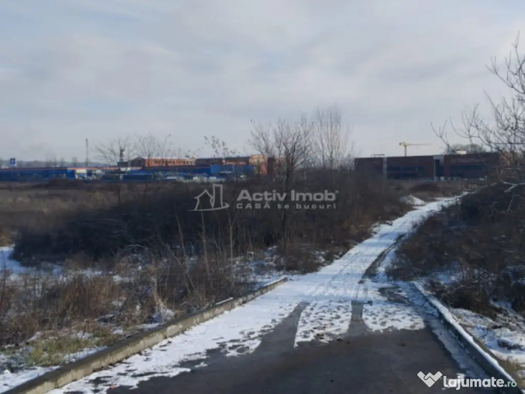 Teren intravilan 4654mp de Dedeman 