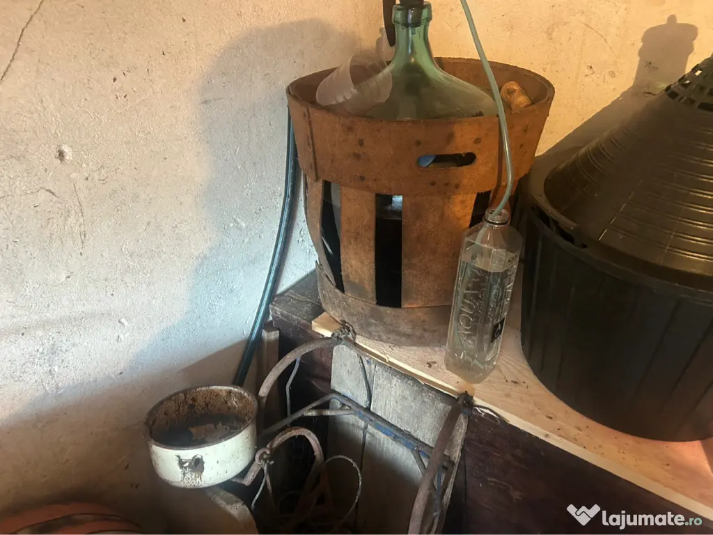 Vin de casa natural - 2025 