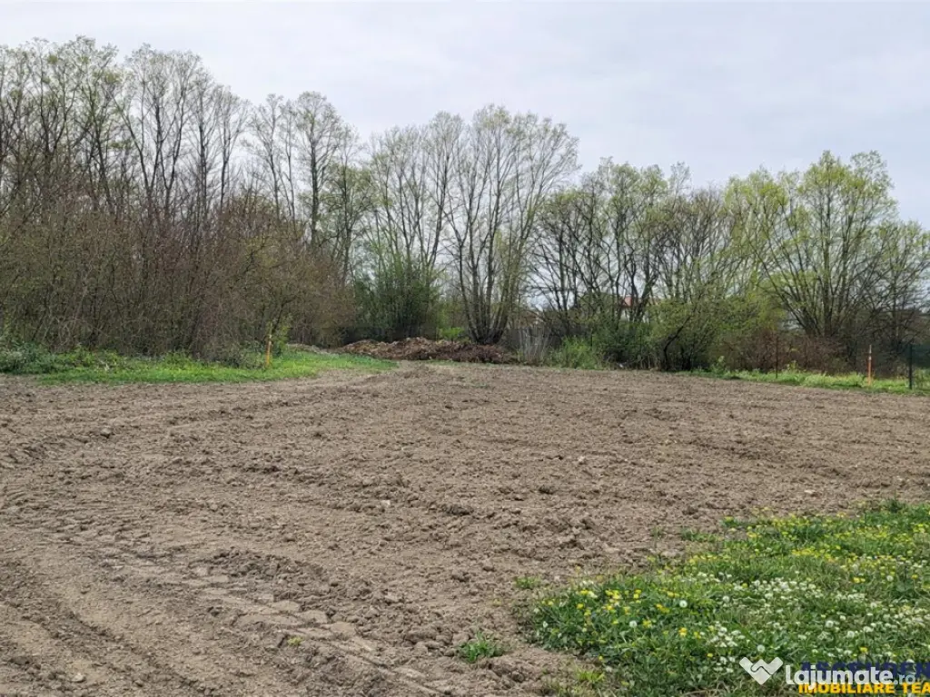 Teren 1.700 mp intravilan, natura, vecinatati bune, potentia 