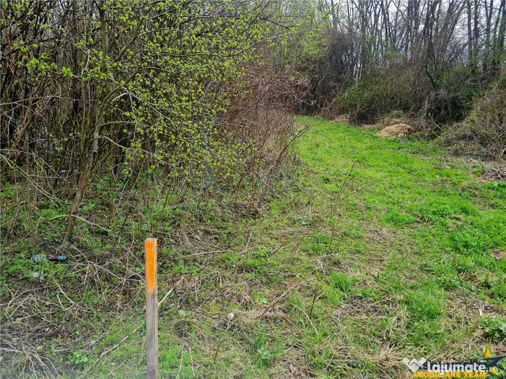 Teren 1.700 mp intravilan, natura, vecinatati bune, potentia 