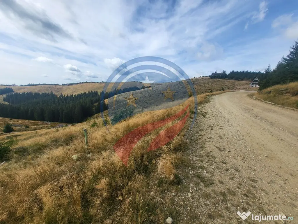 Teren de vanzare in Horezu/Bolca Pietrele Scrise/Valcea 