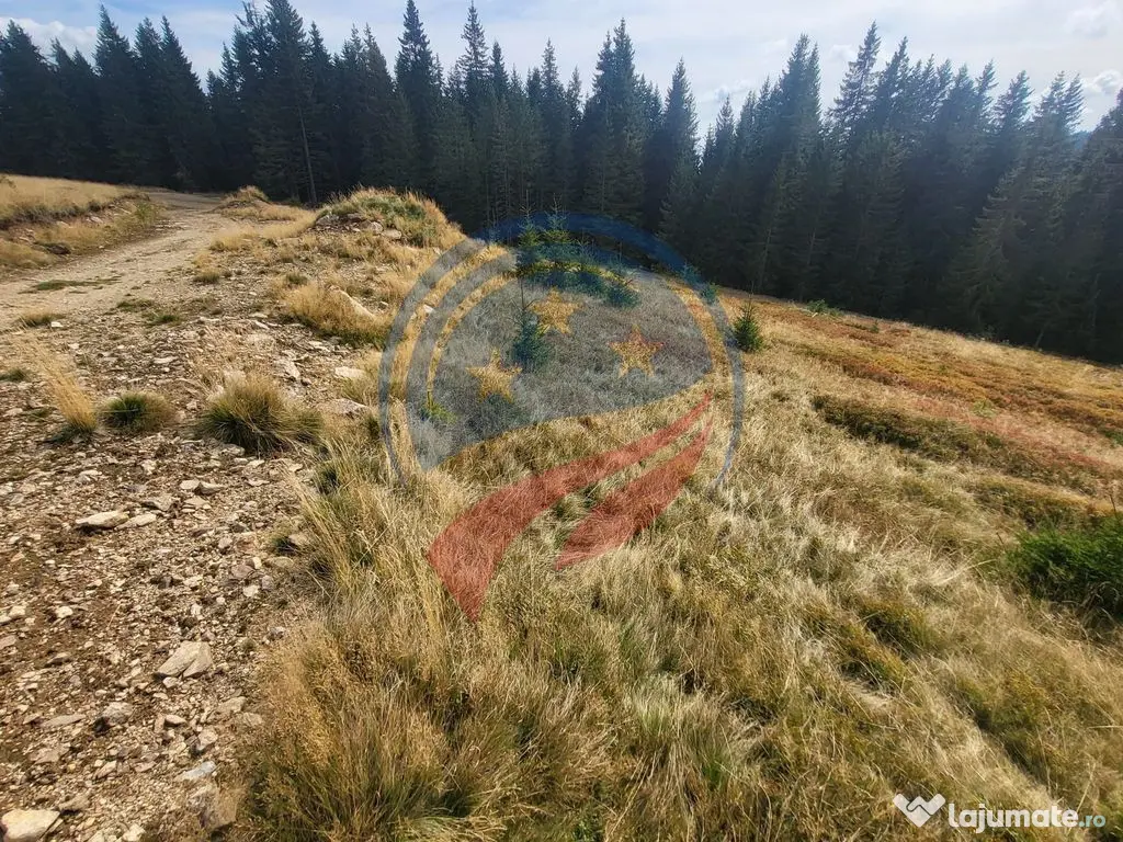 Teren de vanzare in Horezu/Bolca Pietrele Scrise/Valcea 