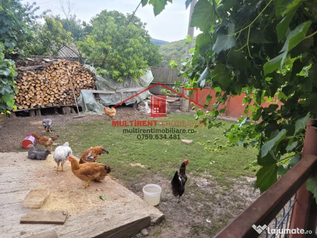 Casa in Telita cu vedere spre padure! 