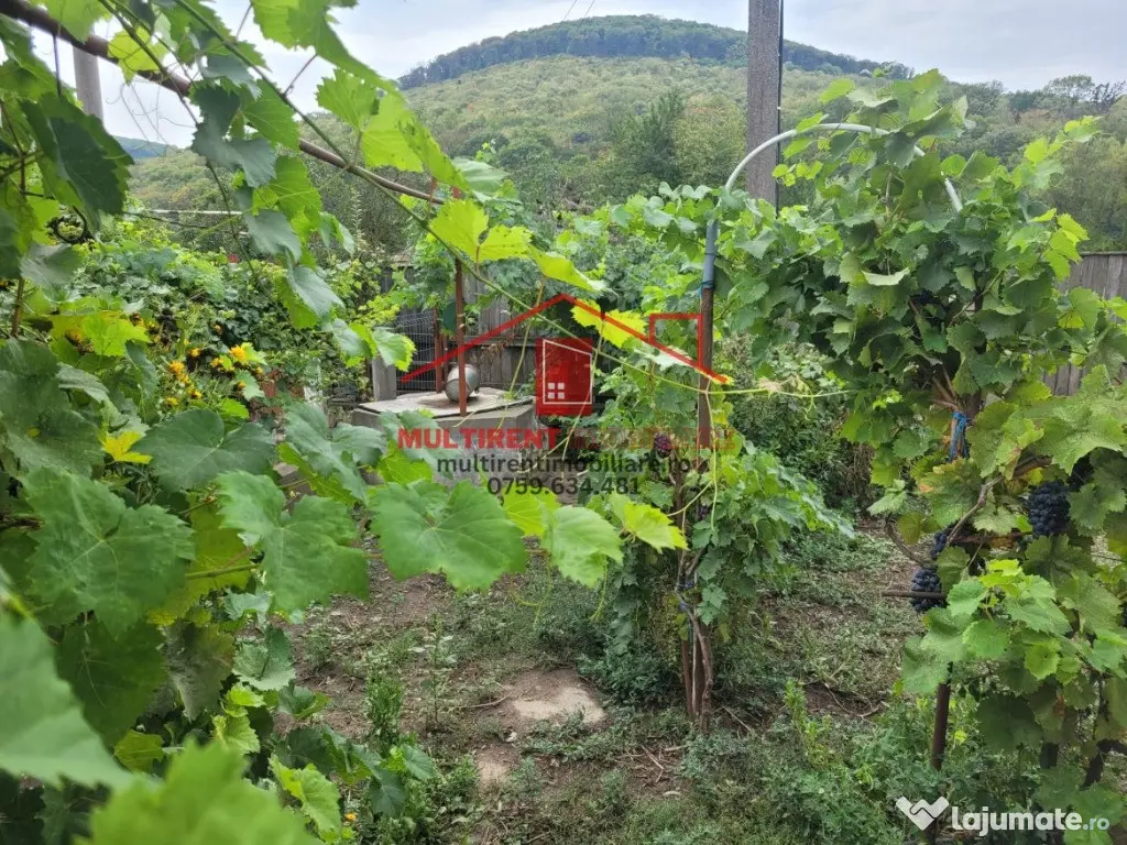Casa in Telita cu vedere spre padure!