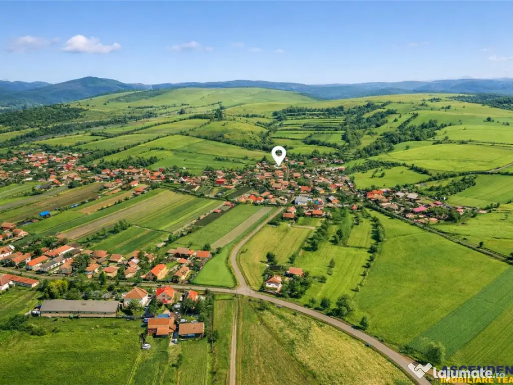 Film! Casa din lemn,cu doua camere, pe domeniu de 2.819 mp, 