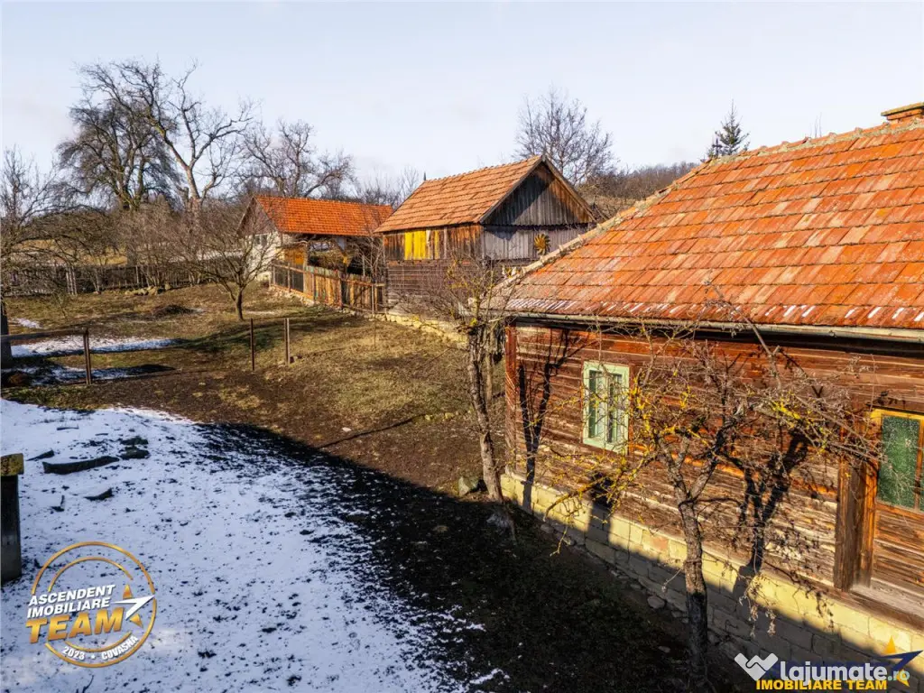 Film! Casa din lemn,cu doua camere, pe domeniu de 2.819 mp, 