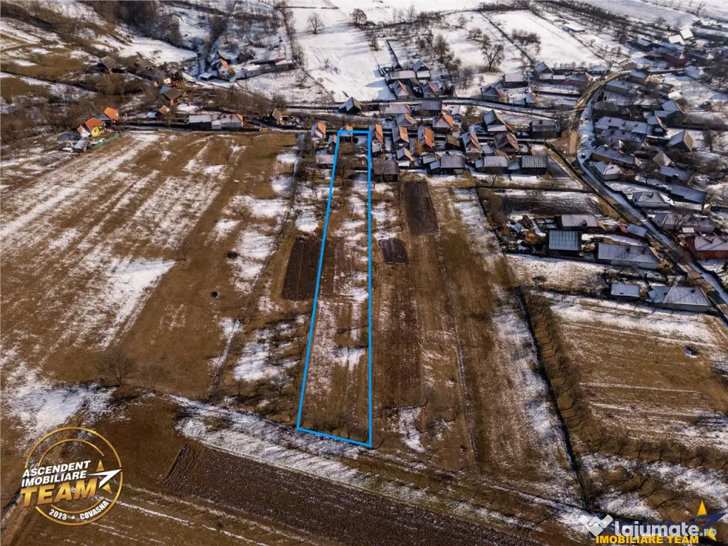 Film! Casa din lemn,cu doua camere, pe domeniu de 2.819 mp, 