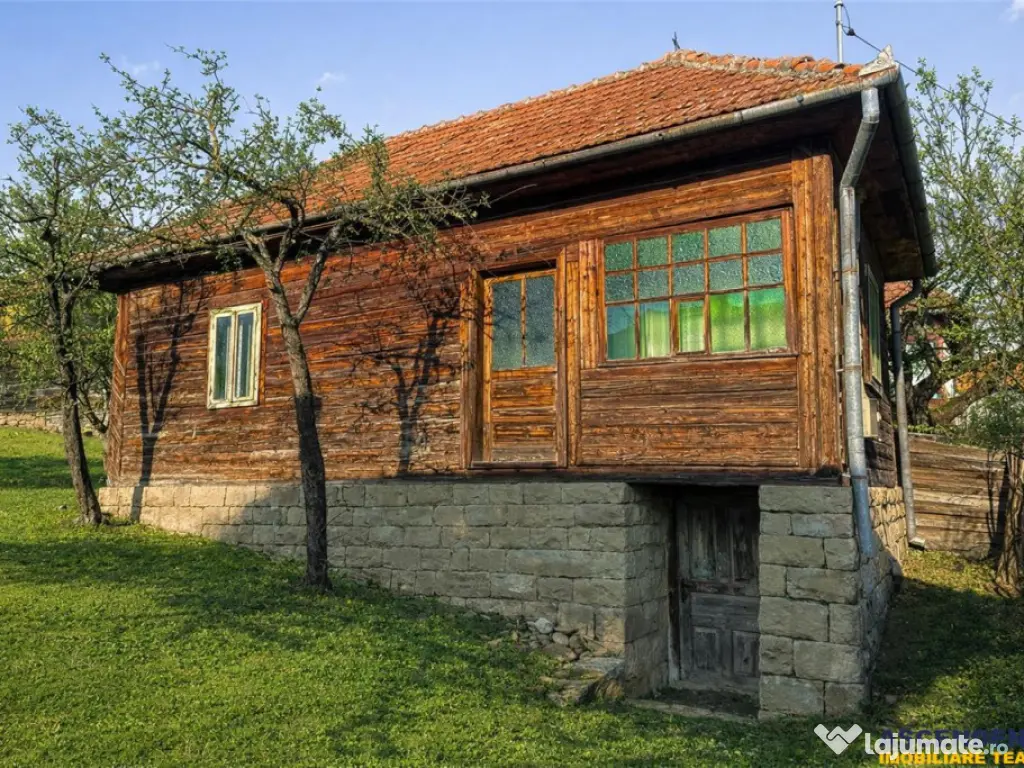 Film! Casa din lemn,cu doua camere, pe domeniu de 2.819 mp, 