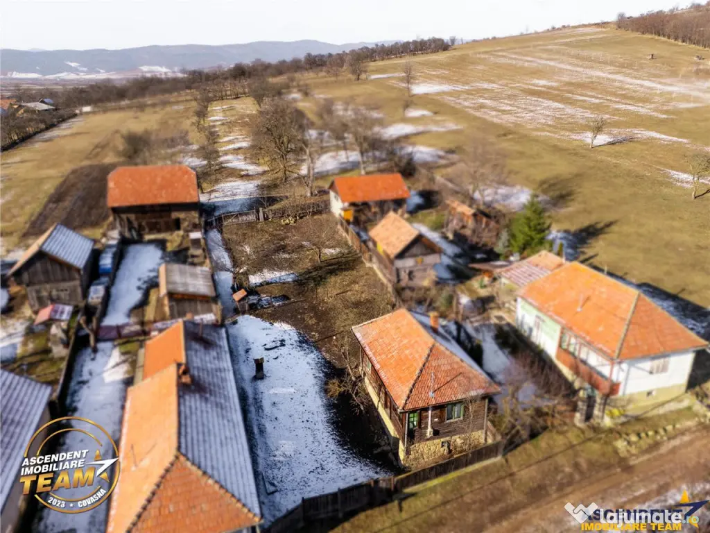 Film! Casa din lemn,cu doua camere, pe domeniu de 2.819 mp, 