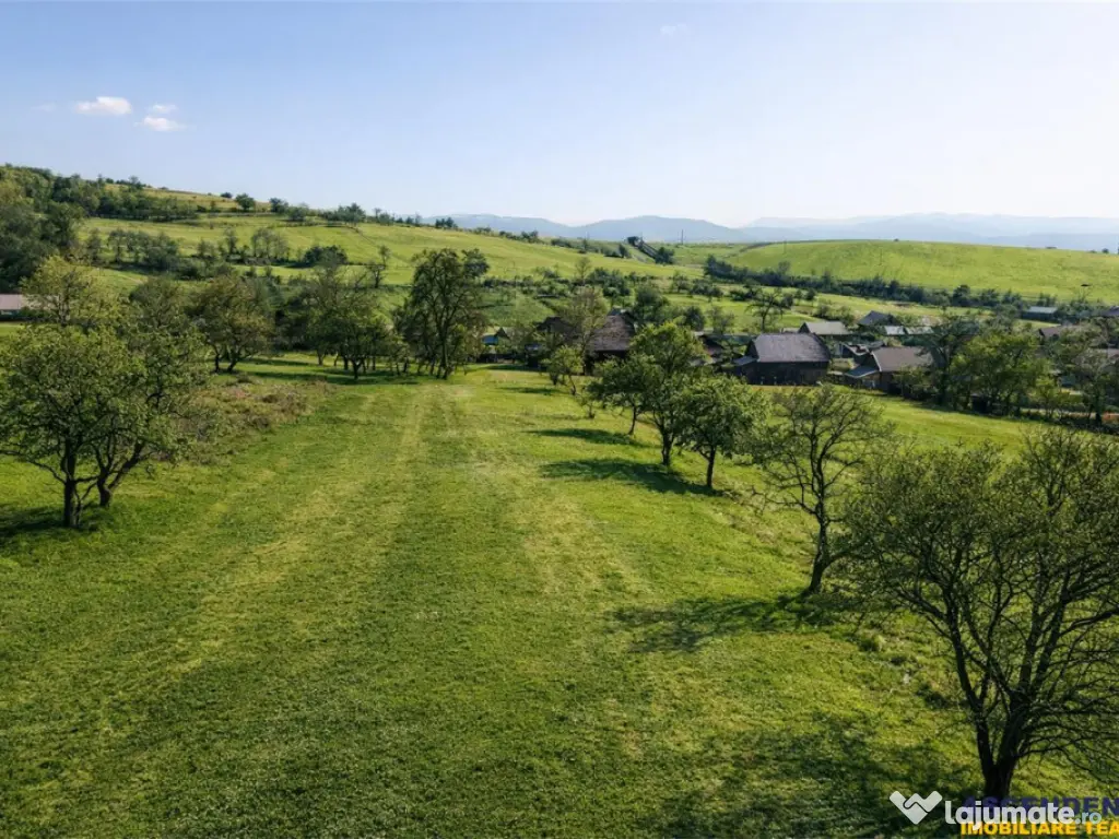 Film! Casa din lemn,cu doua camere, pe domeniu de 2.819 mp, 