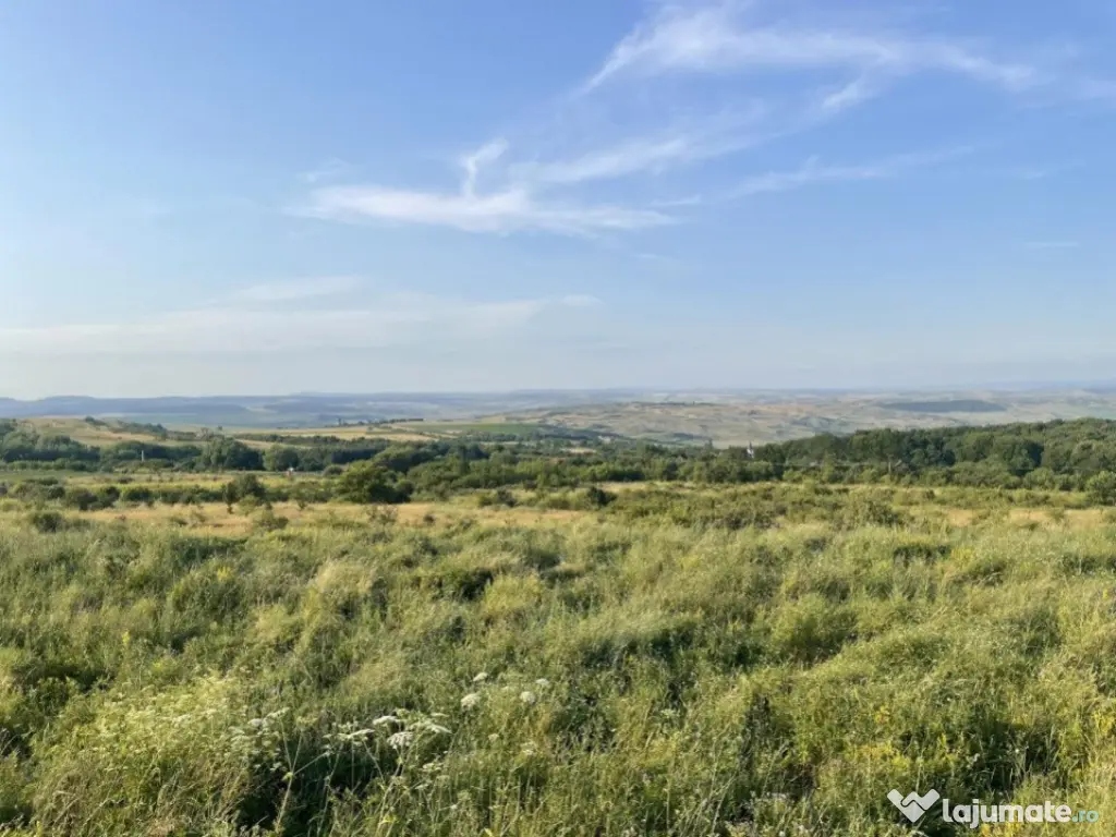 Teren intravilan, 2877 mp, zona Vararea