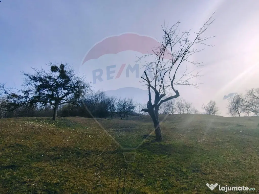 Teren intravilan generos 3.206 mp în Remecioara | Privel... 