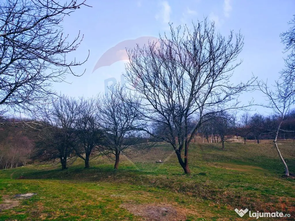 Teren intravilan generos 3.206 mp în Remecioara | Privel... 