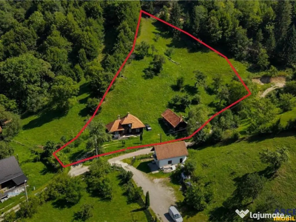 FILM! Casa traditionala pe domeniu de 4.300mp teren, Bran - 