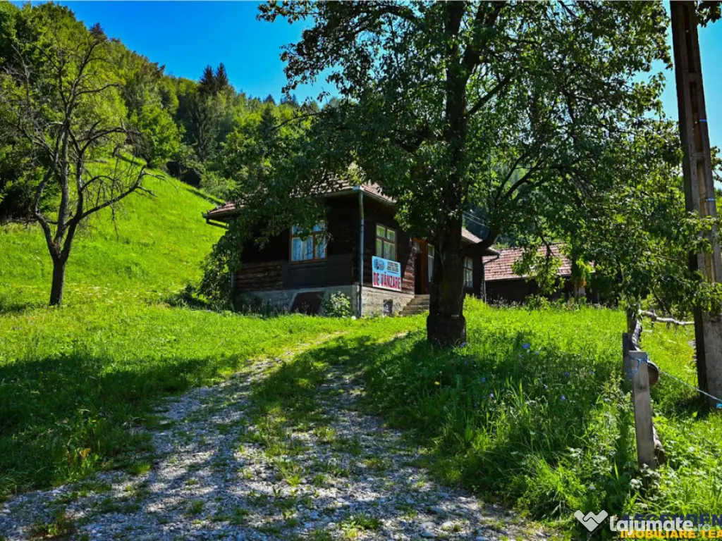 FILM! Casa traditionala pe domeniu de 4.300mp teren, Bran - 