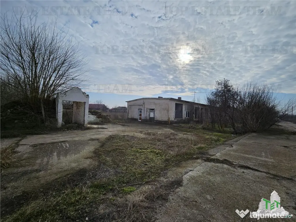 Teren intravilan Harsova 