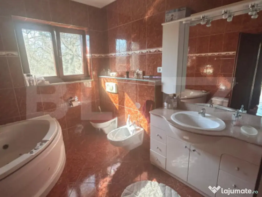 Vila Remetea Mare 380mp utili, 3982 mp teren