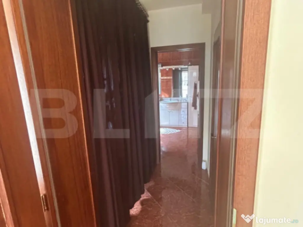 Vila Remetea Mare 380mp utili, 3982 mp teren