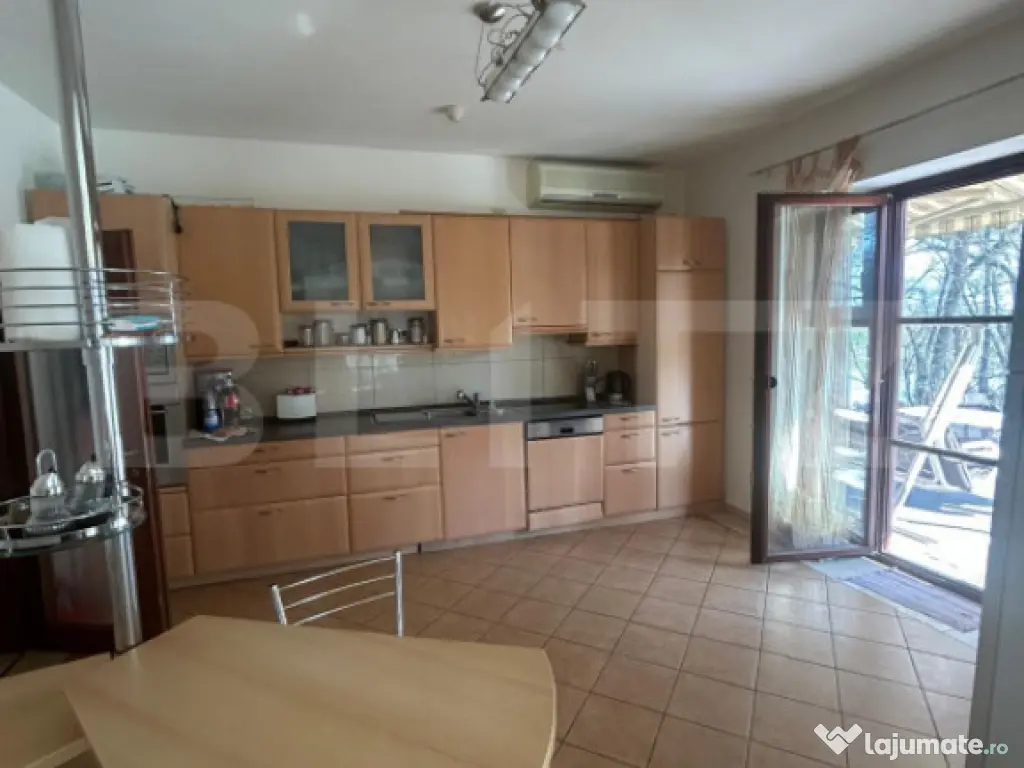 Vila Remetea Mare 380mp utili, 3982 mp teren