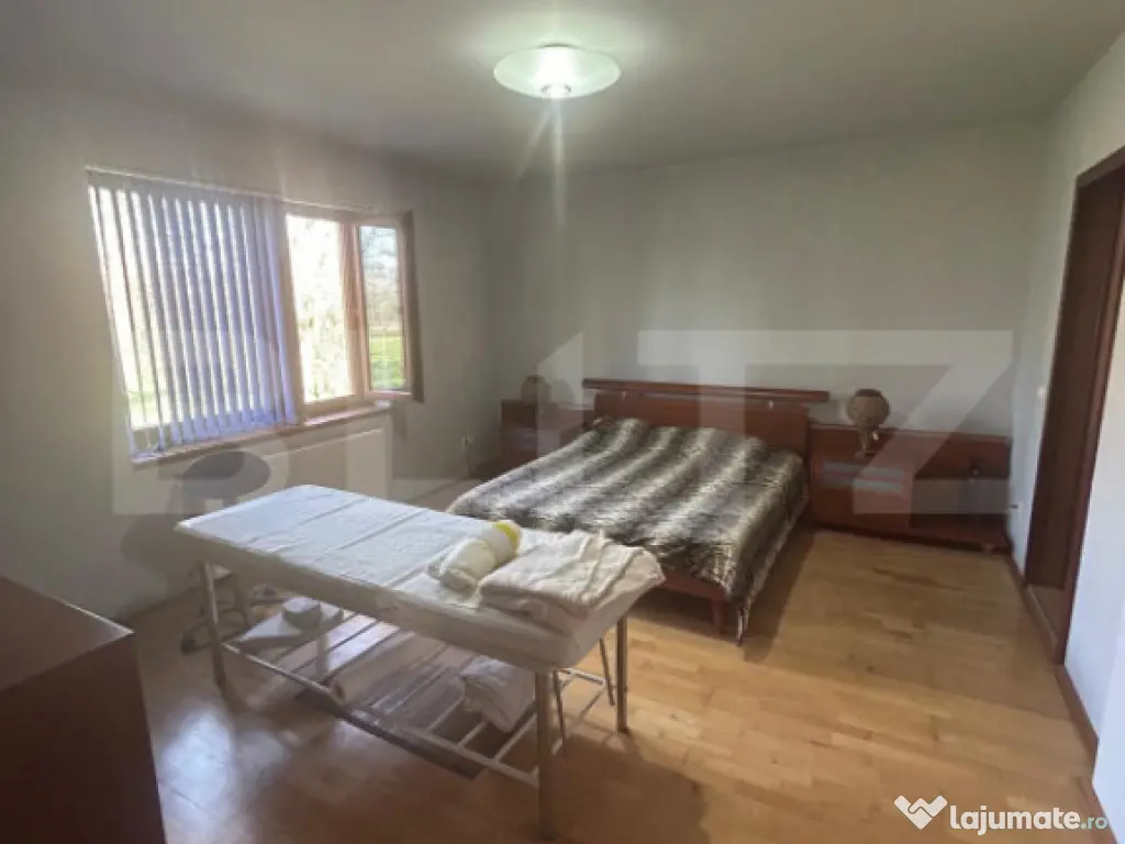 Vila Remetea Mare 380mp utili, 3982 mp teren