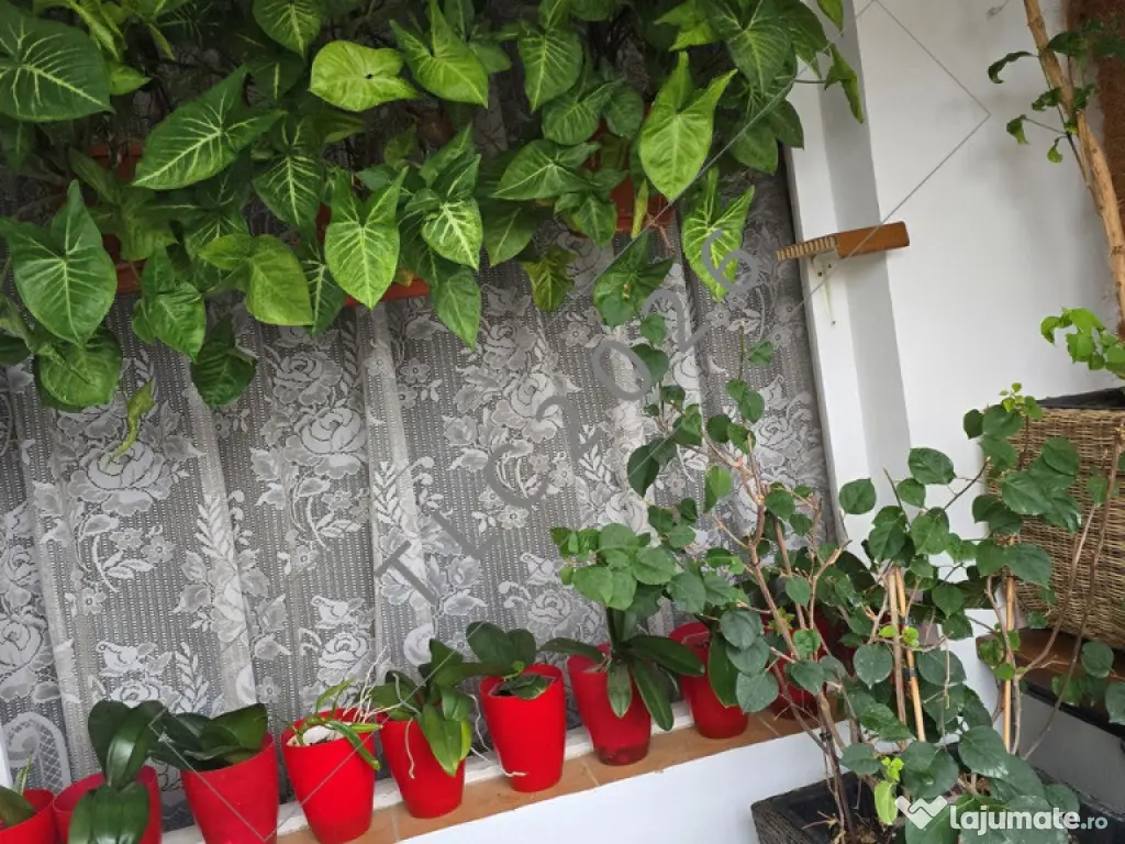 Apartament 4 camere,etaj 3,Militari,Gorjului,Bucuresti - PROPRIETAR 