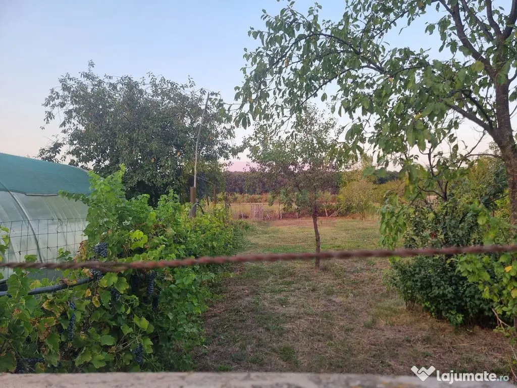 VANZARE CASA P+1+M (5 CAM) SAT SADINA COM. ROATA DE JOS (GR) 